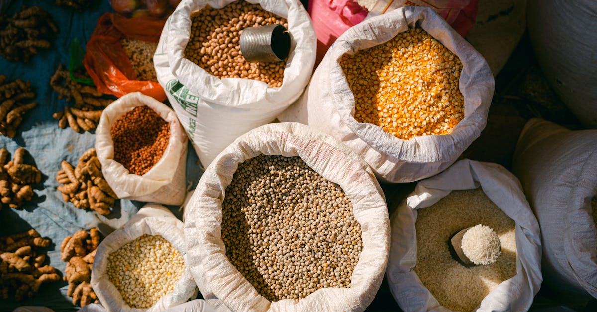 discover the nutritional benefits and versatile uses of pulses in your diet. explore recipes, cooking tips, and health insights about lentils, beans, peas, and more!