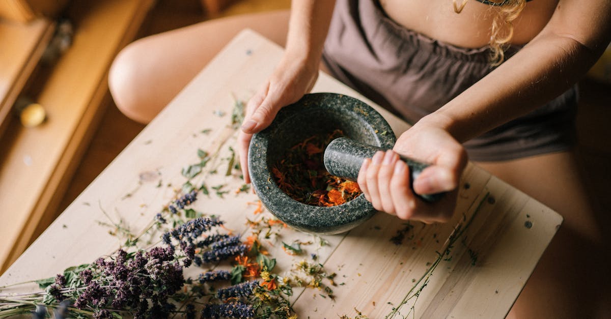 Découvrez le pouvoir des remèdes naturels pour améliorer votre santé et votre bien-être. Explorez des traitements à base de plantes efficaces, des conseils de bien-être et des approches holistiques de guérison, tous issus de la générosité de la nature.