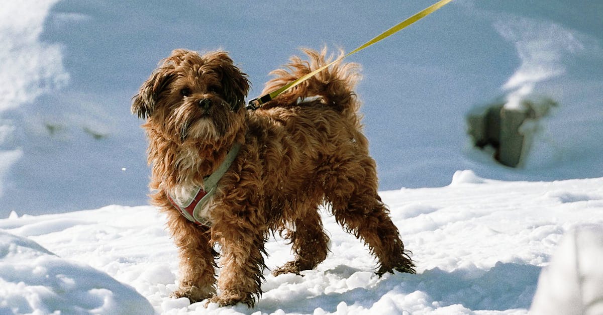 discover effective treatments and insights about frozen shoulder, a condition causing pain and stiffness in the shoulder joint. learn about symptoms, causes, and ways to find relief and restore mobility.