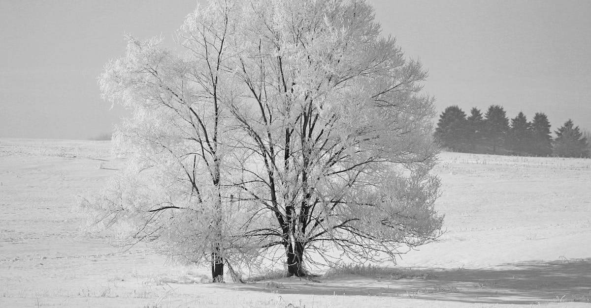 discover effective treatments and insights for frozen shoulder, a condition that limits mobility and causes pain. learn about symptoms, causes, and expert advice on managing discomfort and improving shoulder function.