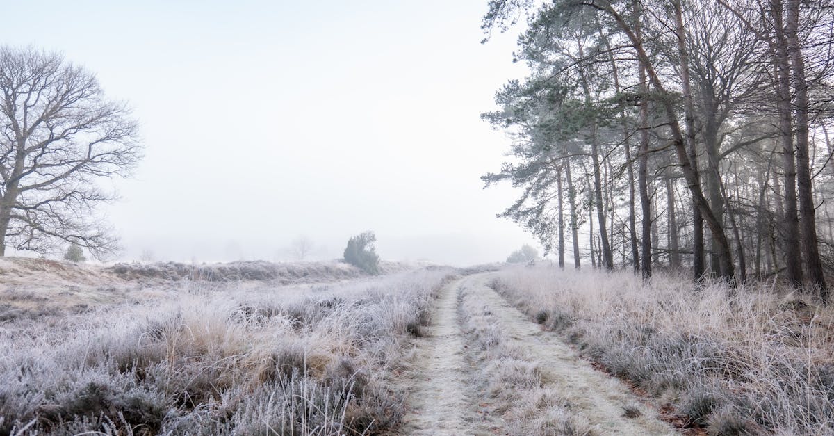 discover effective strategies and insights on frozen shoulder, a common condition characterized by stiffness and pain in the shoulder joint. learn about symptoms, causes, treatment options, and tips for recovery to regain your mobility and enhance your quality of life.