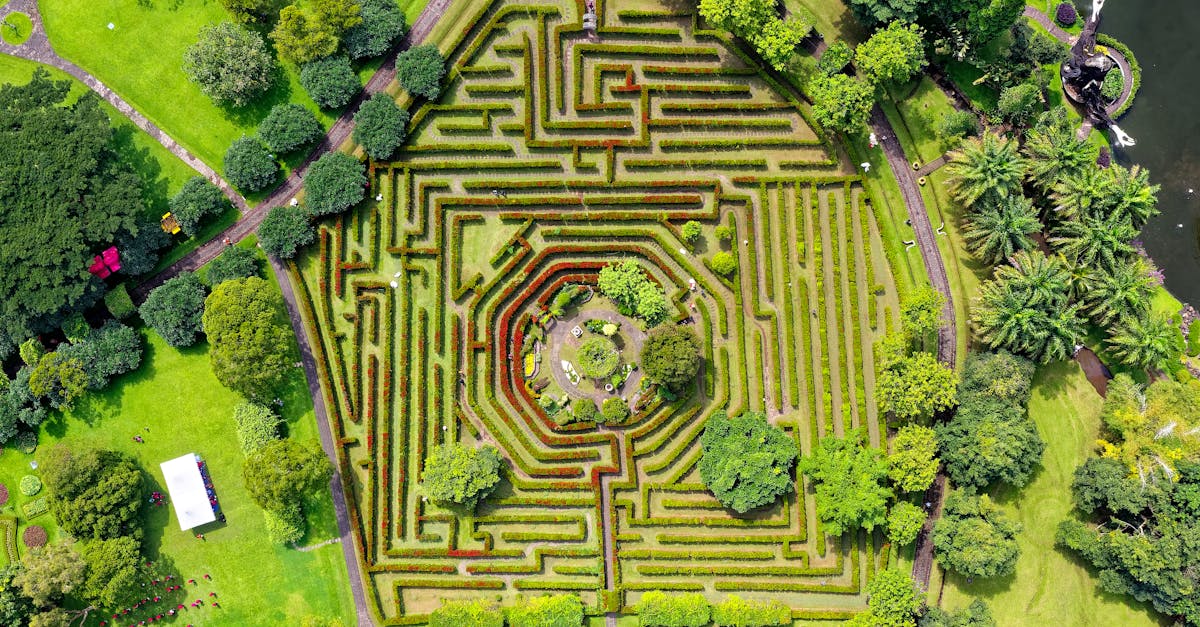 découvrez les causes, les symptômes et les traitements de la labyrinthite, une affection affectant l'oreille interne qui peut entraîner des problèmes d'équilibre et des problèmes d'audition. explorez des informations complètes et des conseils d’experts pour gérer et comprendre efficacement cette maladie.