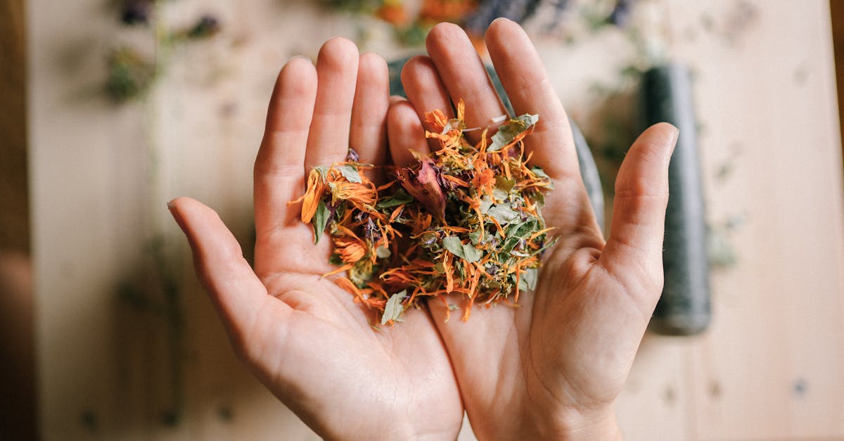 discover the power of natural remedies for health and wellness. explore herbal treatments, homeopathic solutions, and holistic approaches to enhance your well-being naturally.