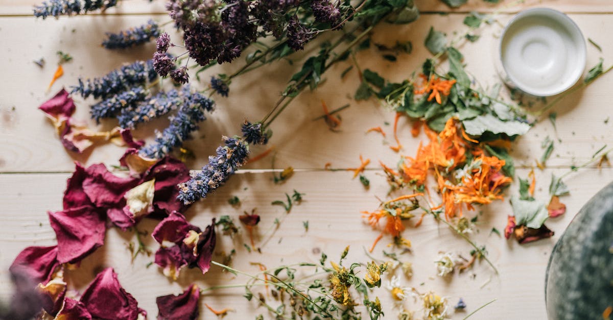 discover the power of natural remedies for a healthier lifestyle. explore effective herbal treatments, homeopathic solutions, and holistic approaches to wellness that harness the benefits of nature. embrace a natural way to heal and enhance your well-being.