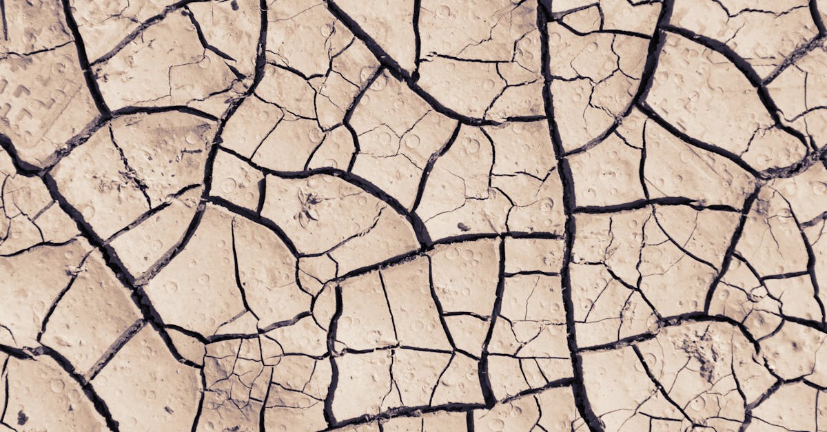 discover the causes, symptoms, and prevention of dehydration. learn how to stay hydrated and understand the importance of water for your health and well-being.