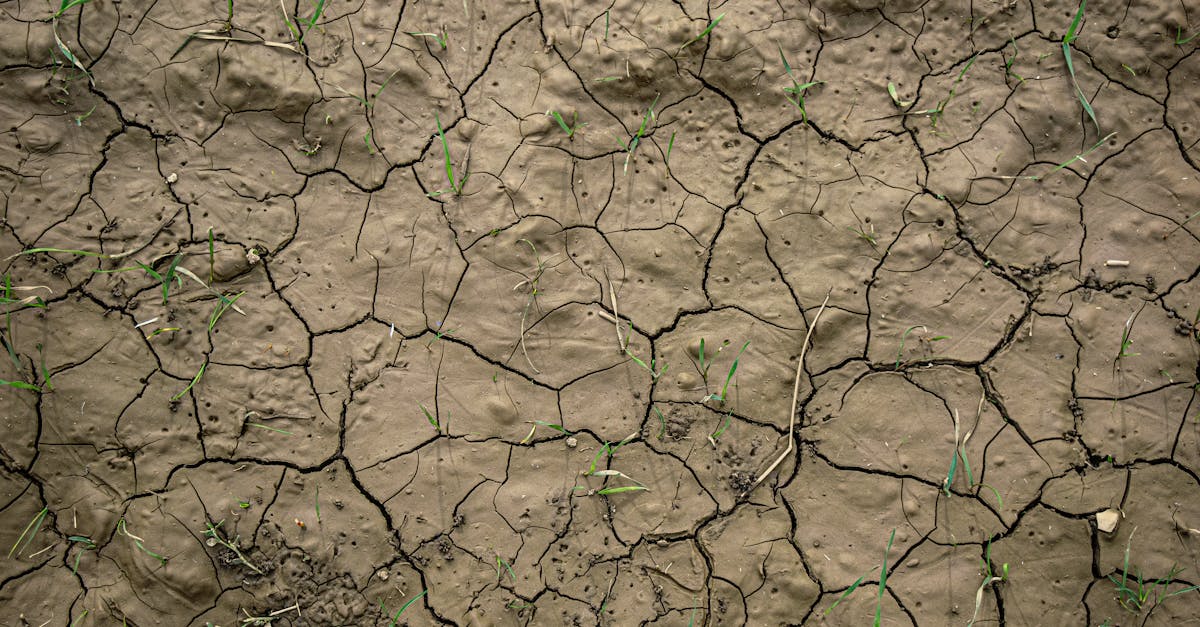 discover the causes, symptoms, and effects of dehydration, along with effective prevention and treatment strategies to maintain optimal health and hydration levels.