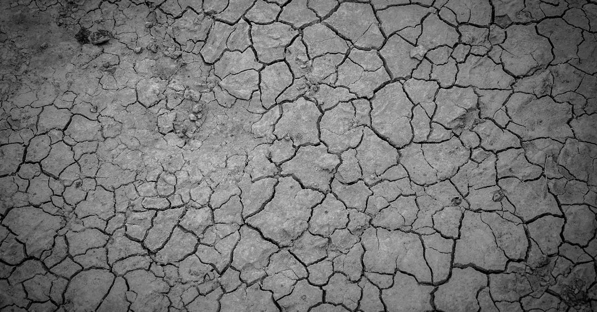 explore the causes, symptoms, and effects of dehydration, along with effective prevention and treatment strategies to maintain optimal hydration for overall health and well-being.