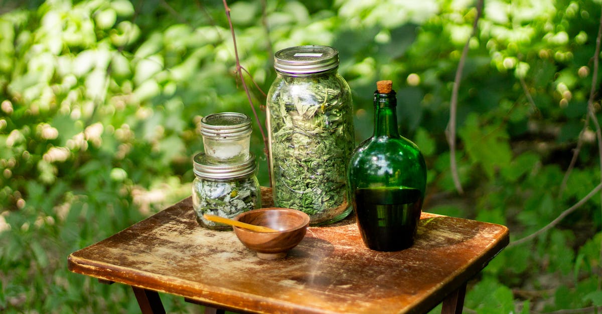 discover the power of holistic remedies to enhance your well-being. explore natural solutions that promote balance and health, supporting your body, mind, and spirit. embrace a holistic approach to a healthier lifestyle.