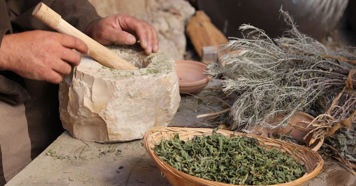 explore the benefits of holistic remedies for a balanced and natural approach to health. discover various therapies and treatments that promote wellness, healing, and harmony in mind, body, and spirit.