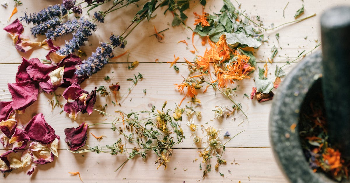 discover the power of holistic remedies that promote natural healing and well-being. explore a range of alternative therapies, herbal treatments, and mindful practices designed to enhance your health and restore balance in your life.