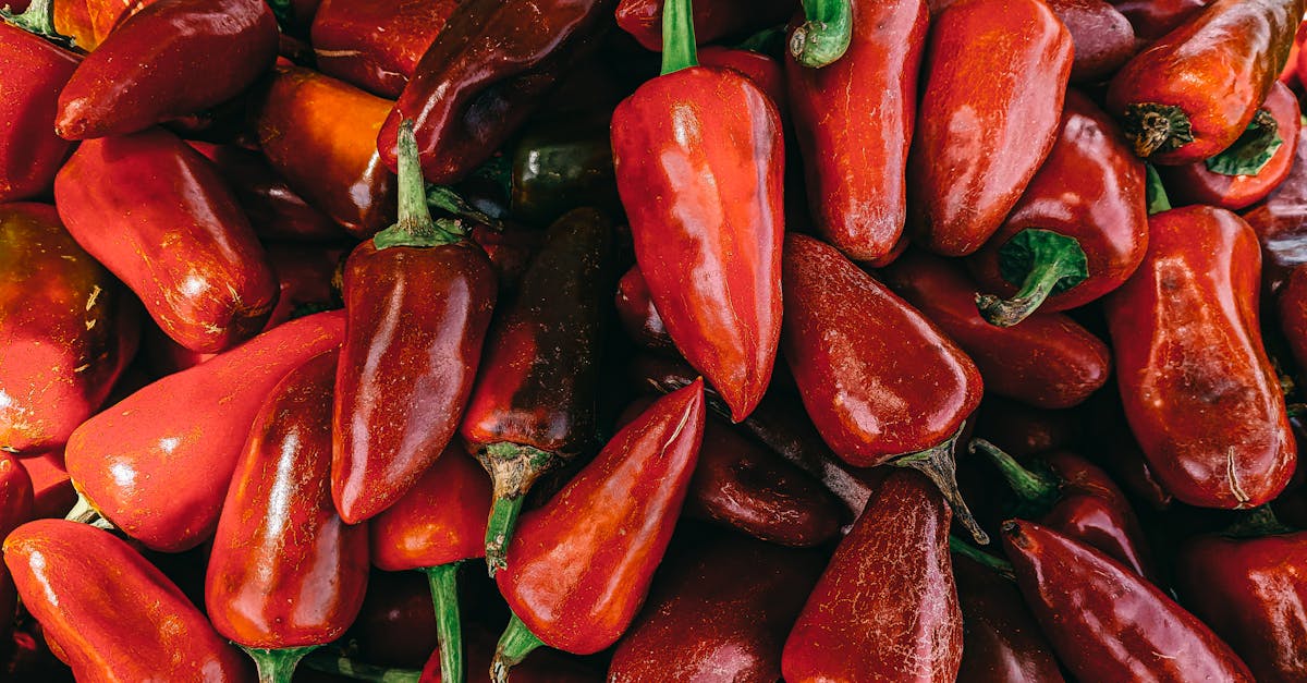 discover how to alleviate migraine symptoms with our comprehensive migraine-friendly diet guide. learn which foods to incorporate and which to avoid for a healthier, pain-free life.