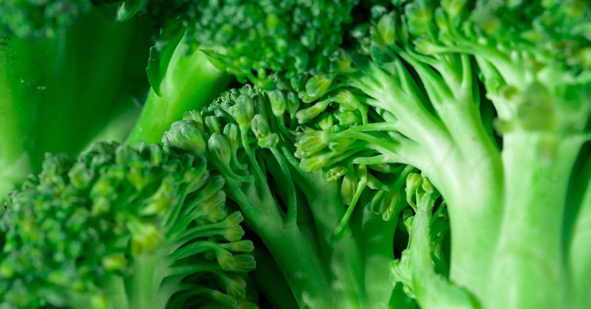 discover a migraine-friendly diet that can help reduce triggers and improve your quality of life. explore delicious recipes, essential foods, and expert tips tailored for those seeking relief from migraine discomfort.