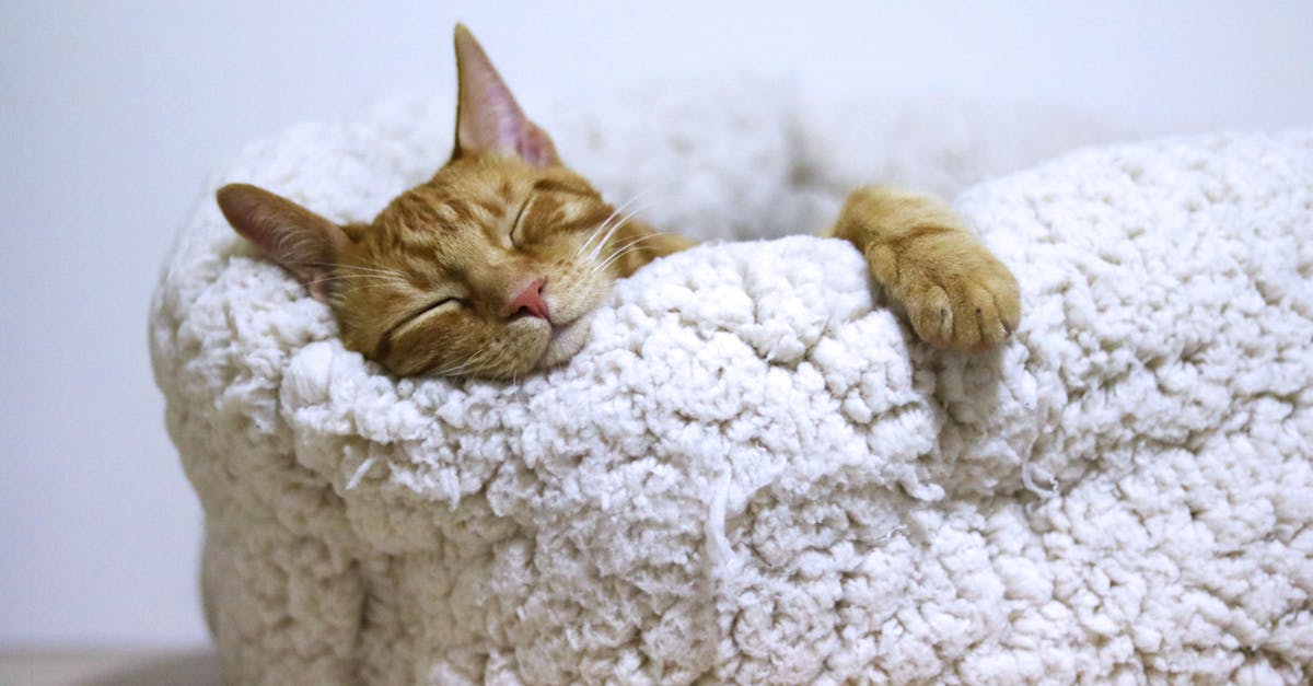 discover the best sleeping postures for a restful night's sleep. learn how different positions can impact your health, comfort, and overall well-being. improve your sleep quality with our expert tips and insights.