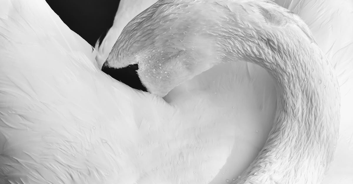 posture améliorée