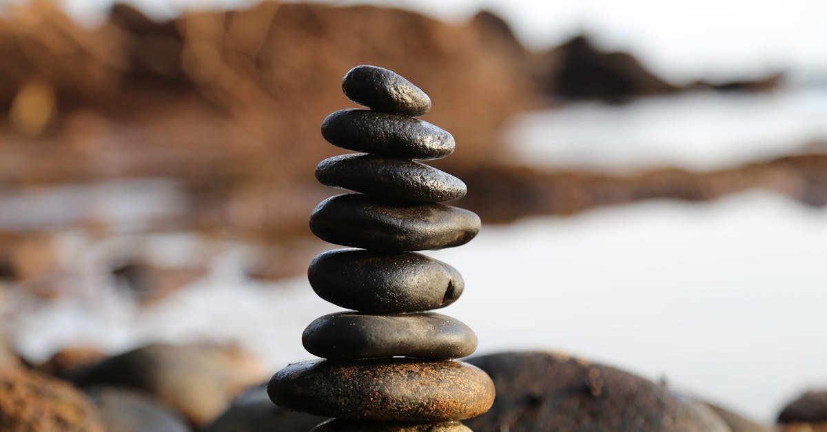 explore the concept of equilibrium, where balance and harmony are achieved in various systems, from science to philosophy. discover how equilibrium impacts our daily lives and the natural world.
