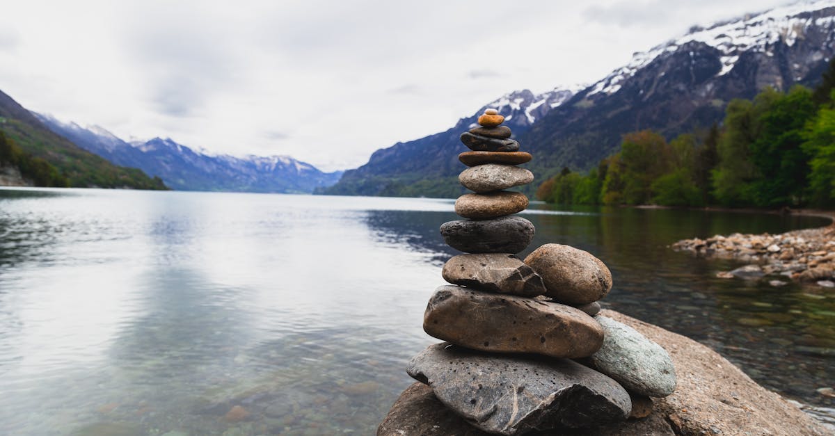 discover the essence of balance and harmony with 'equilibrium.' explore how this concept influences our lives, promotes well-being, and fosters a sense of peace. join us on a journey to achieve perfect equilibrium in mind, body, and soul.