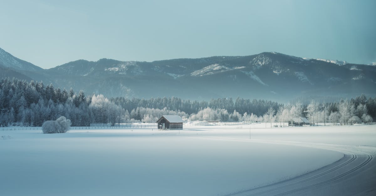 discover effective treatments and insights for frozen shoulder, a common condition causing pain and stiffness in the shoulder joint. learn about symptoms, causes, and tips for relief to enhance your mobility and quality of life.