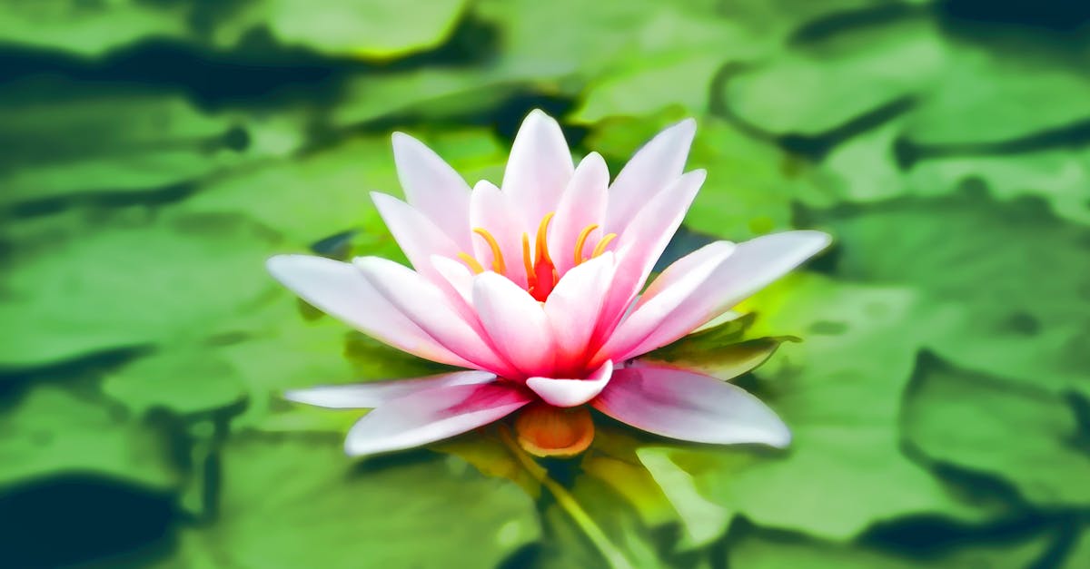 discover the transformative power of meditation. learn techniques to reduce stress, enhance mindfulness, and achieve inner peace through guided practices and insights.