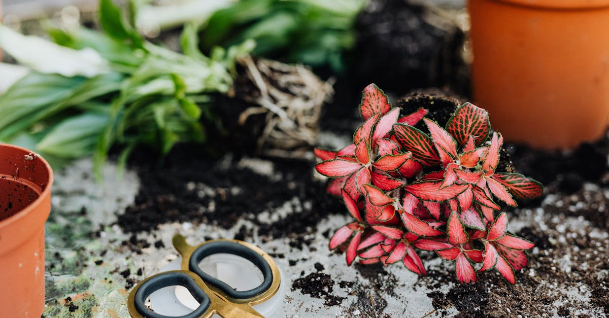 discover the causes, symptoms, and treatments for pinched nerves. learn how to alleviate pain and improve mobility with effective home remedies and medical options.