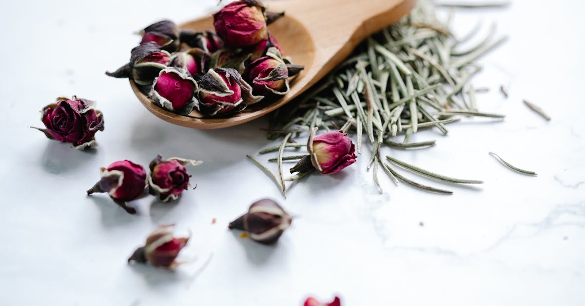 explore a diverse range of effective remedies for common ailments and enhance your well-being naturally. discover herbal solutions, home remedies, and self-care practices to support your health today.