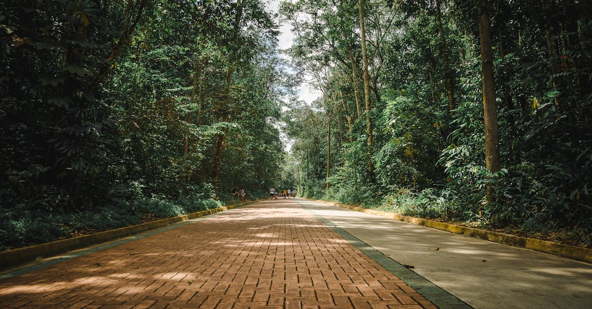 discover the essence of tranquility with our comprehensive guide. explore techniques and practices to cultivate a peaceful mind, enhance inner calm, and embrace a serene lifestyle. join us on a journey to finding your personal oasis of stillness amid the chaos of everyday life.