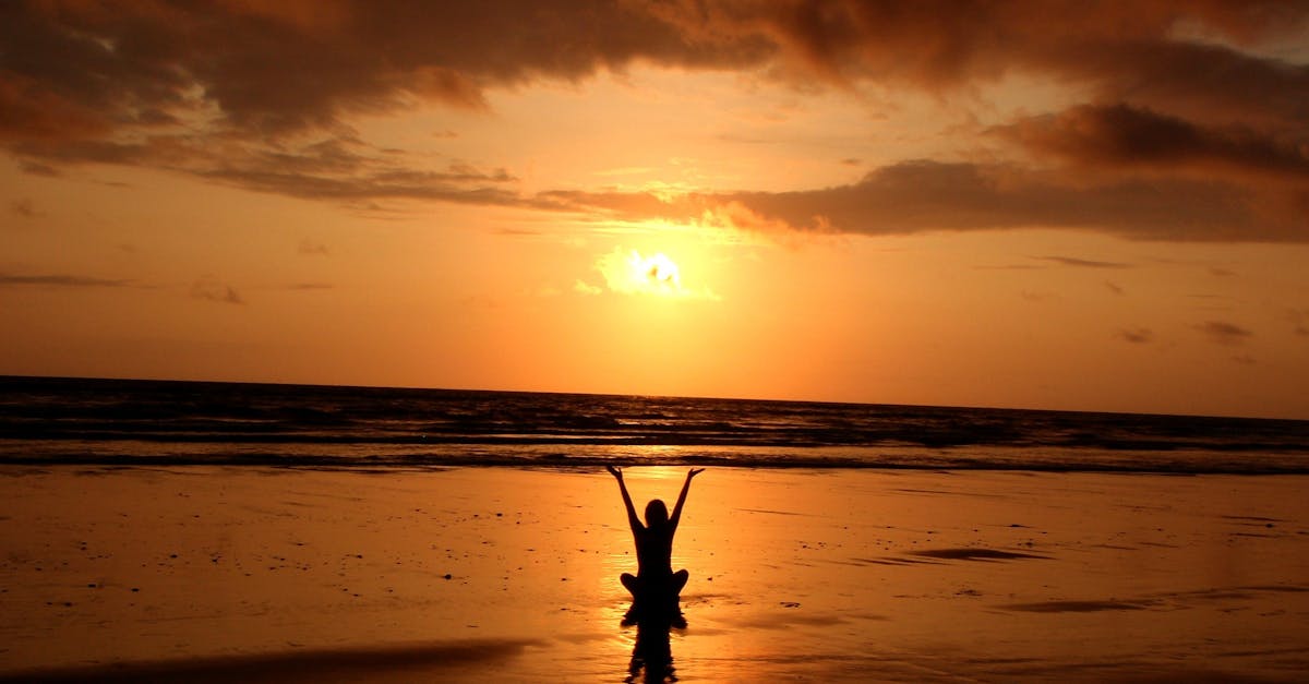 discover the transformative power of yoga. join our classes to enhance your flexibility, strength, and mindfulness. perfect for all levels, yoga helps you achieve physical wellness and mental clarity. begin your journey towards inner peace and vitality today.
