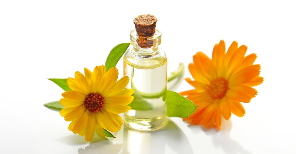 discover the benefits of essential oils, from their calming scents to therapeutic properties. explore various types, usage tips, and how they can enhance your well-being naturally.