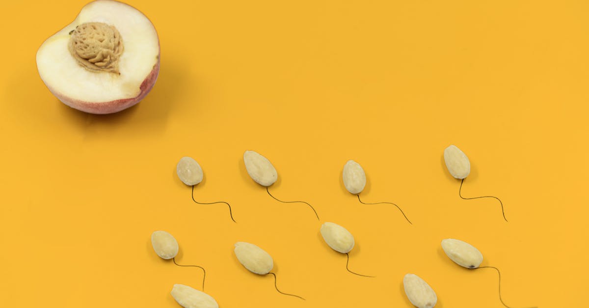 explore the causes, symptoms, and treatments of hormonal imbalances. discover how these disruptions can affect your health and well-being, and learn effective strategies to restore balance in your body.