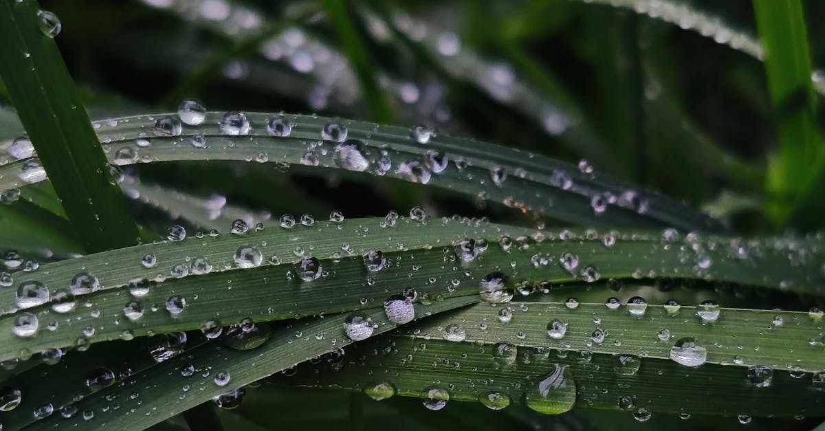discover the importance of hydration for your health and well-being. learn tips and tricks to stay properly hydrated throughout the day, and understand how it impacts your energy levels, skin health, and overall performance.