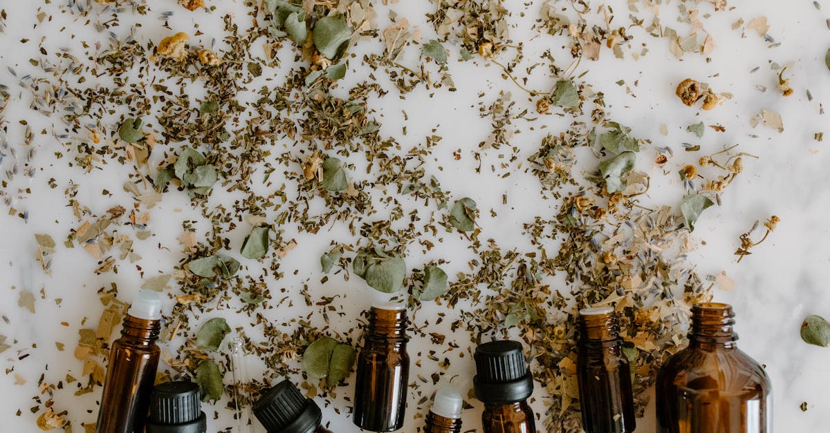 discover effective natural remedies to enhance your well-being and promote a healthier lifestyle. explore herbal treatments, essential oils, and holistic approaches for common ailments.