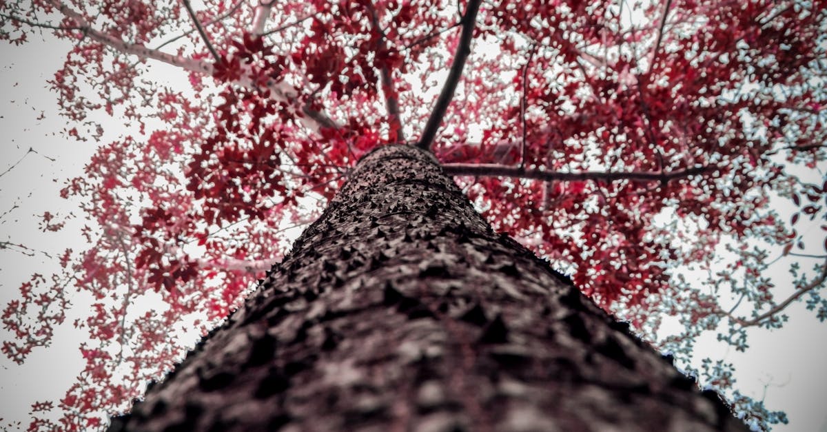 explore the phenomenon of vertigo, its causes, symptoms, and treatment options. discover how this sensation of spinning can affect daily life and the methods to manage it effectively.