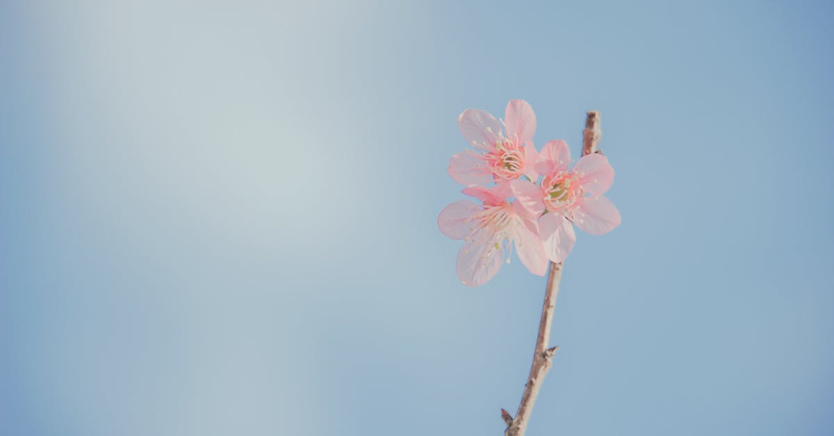 discover essential information about cluster headaches, including symptoms, causes, treatment options, and tips for managing this severe form of headache. learn how to identify and seek help for cluster headaches.