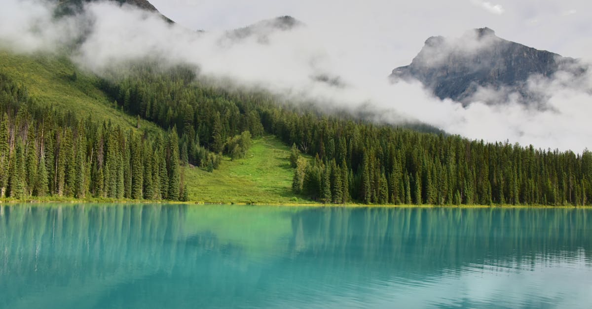 discover the true meaning of serenity—an oasis of calm and tranquility. explore tips, practices, and inspiration for achieving inner peace and balance in your everyday life.