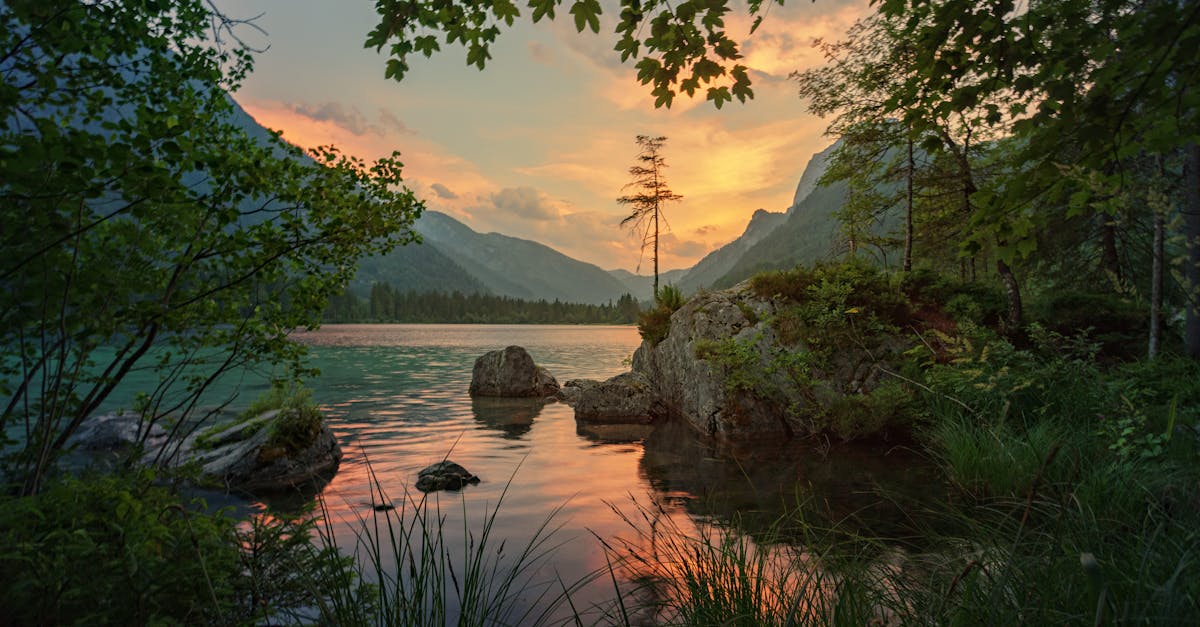 discover the true meaning of serenity—explore tips, practices, and insights to find inner peace and balance in your daily life.