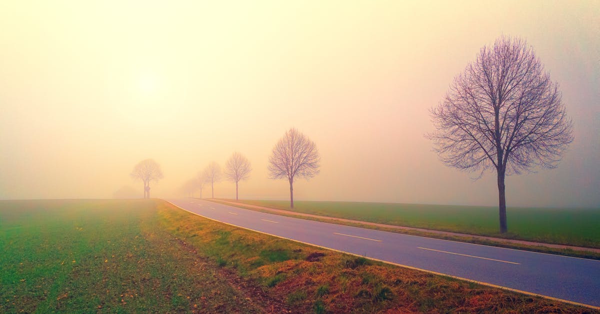 discover the essence of serenity—a peaceful state of mind and calmness. explore tips, inspiration, and resources to help you achieve inner peace and balance every day.
